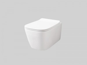 Artceram A16 wall rimless toilet with soft close toilet seat ASV003